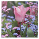 Recherche de jardin carreaux Printemps