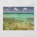 Recherche de grand turk cartes postales Walter bibikow