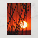 Recherche de sud africain cartes postales Paysage