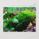 Recherche de montagneux cartes postales Photographie