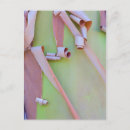 Recherche de arbutus cartes postales Exfoliant