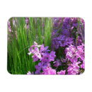 Recherche de grasse magnets Toute personne