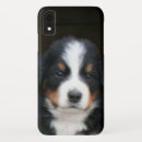 Recherche de chien de montagne bernese iphone coques Chiot