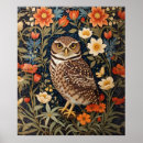 Zoek naar uilen posters Vogel