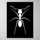 Recherche de fourmis posters Insecte