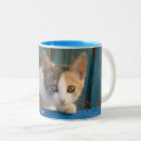 Recherche de chat de calicot tasses Animal