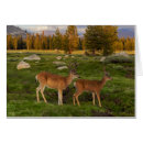 Recherche de aucunes personnes cartes postales Faune