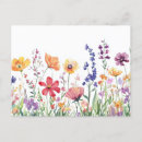 Recherche de joli fleur sauvage cartes postales Floral