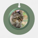 Recherche de cadre animaux articles Cats