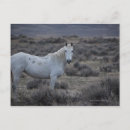 Recherche de wyoming cartes postales Animal