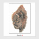 Recherche de bison autocollants Aquarelle