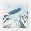 Recherche de mouvement magnets Studio