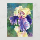 Recherche de iris cartes postales Fleur violette