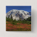 Zoek naar wa buttons Usa