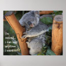 Recherche de humour koala art Mignon