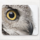 Recherche de hibou à cornes tapis souris Photographie