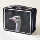 Zoek naar vogels lunchboxen Portret