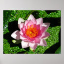 Recherche de étang nénuphar posters Eau