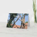 Recherche de humour singe vœux cartes Animaux