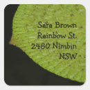 Recherche de pavé autocollants Photographie