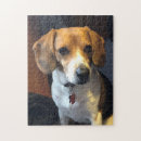 Recherche de chien de beagle puzzles Noël