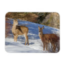 Recherche de biche vœux cartes Neige