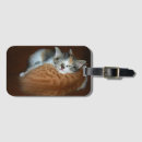 Recherche de minou somnolent Doux