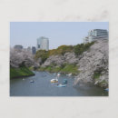 Recherche de fleurs de cerisier cartes postales Plante