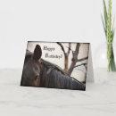 Recherche de cheval foncé Chevaux