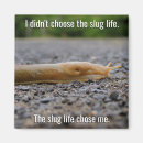 Recherche de memes magnets Lol