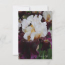 Zoek naar witte iris posters Floreel