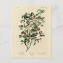 Recherche de noir et gris cartes postales Image