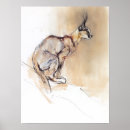 Recherche de caracal posters Chat sauvage