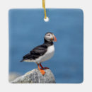 Recherche de macareux ornements Animal
