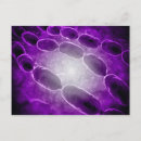 Recherche de bactérien posters Microscopique