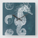 Recherche de hippocampes horloges Côtier