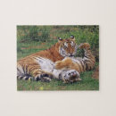 Recherche de tigre bengale puzzles Nature