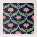 Recherche de indien puzzles Illustration