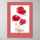 Zoek naar rode bloemen posters Papaver