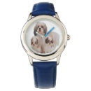 Zoek naar shih tzu accessoires Dieren