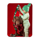 Recherche de petit chien magnets Animal