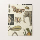 Recherche de insect puzzles Nature