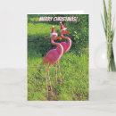 Zoek naar leuke flamingo kaarten Liefde