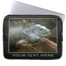Recherche de reptile photographie Iguana