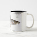 Recherche de cyprinus Andreas ludwig