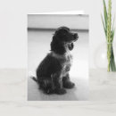 Recherche de cocker spaniel vœux cartes Mignon
