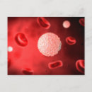 Recherche de système immunitaire cartes postales Sang