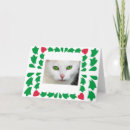 Recherche de yeux verts de chat vœux cartes Salutation