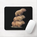 Recherche de humour animal tapis souris Drôle