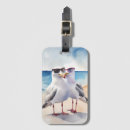 Recherche de deux oiseaux accessoires Pour tous